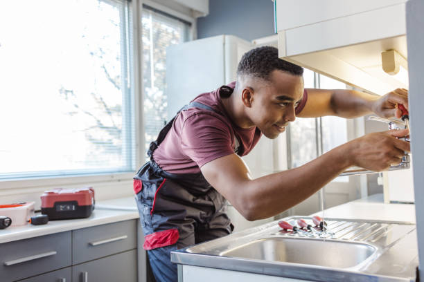 Best Toilet Repair Services  in Niagara, WI